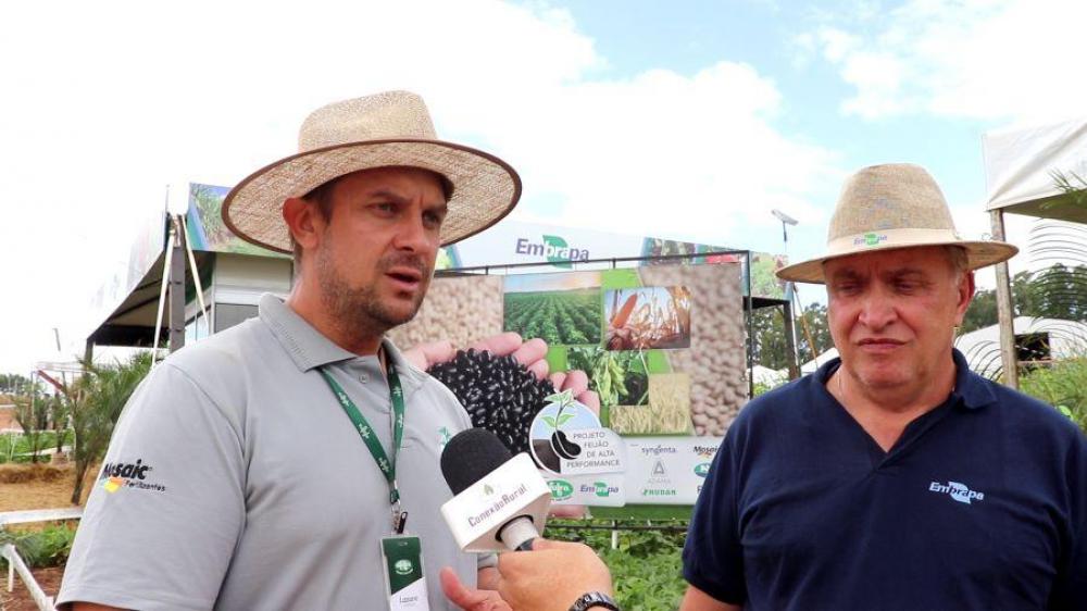 Projeto da Embrapa e Afubra para maior produtividade de feijão e outras culturas no PR