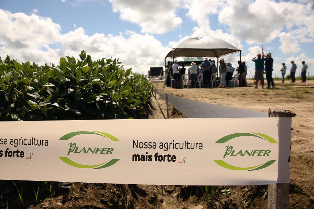 Dia de Campo da Planfer nesta quinta será no Centro Português