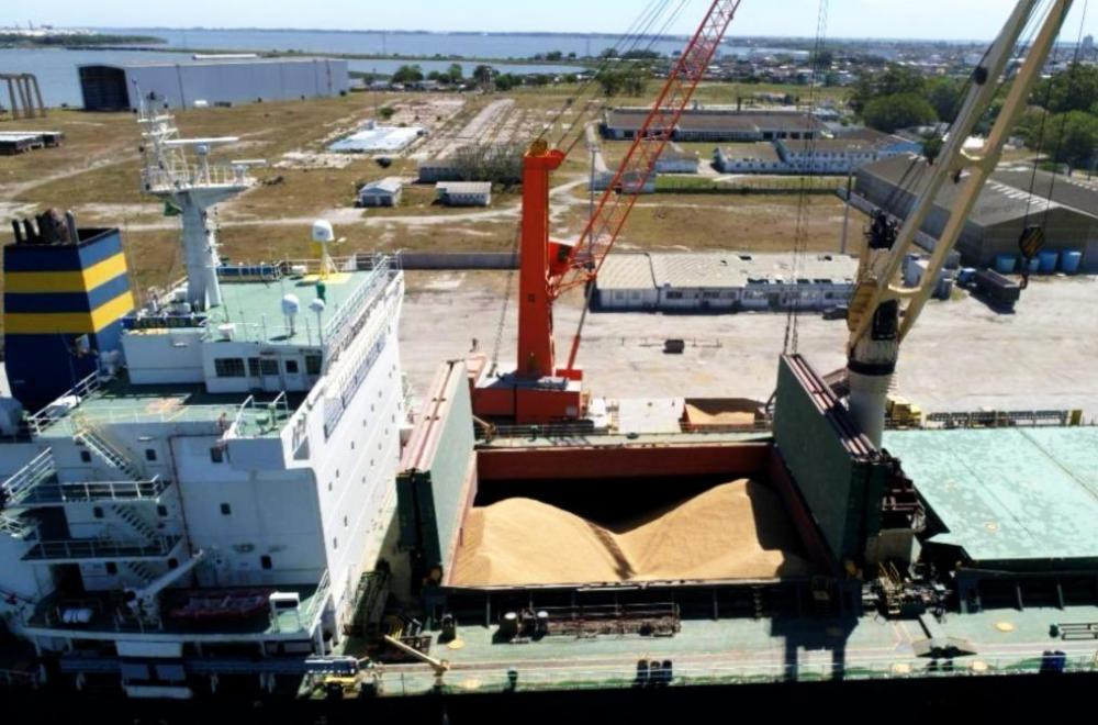 Cooperativa Palmares estreia na exportação em momento difícil da comercialização