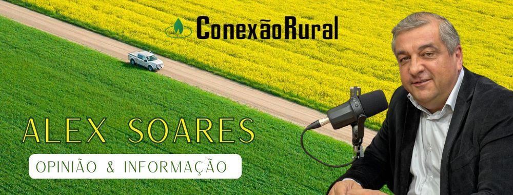 Seguradoras apavoradas com a baixa procura por seguro rural