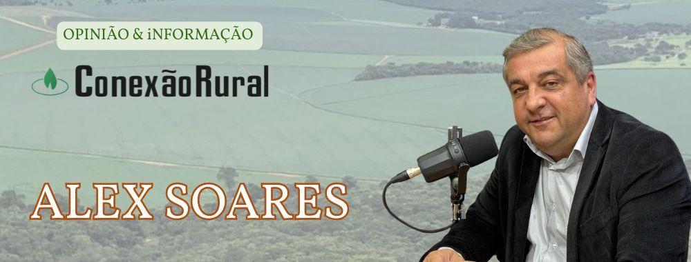 Na gangorra dos grãos, a pecuária se fortalece