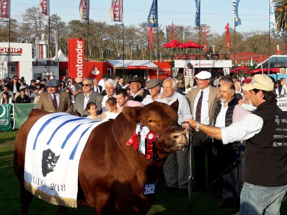 Balanço de cobertura: o delicado momento da produção uruguaia