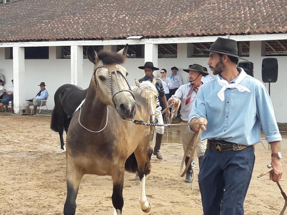 Uma ExpoCamaquã de muita união e de bons negócios de animais