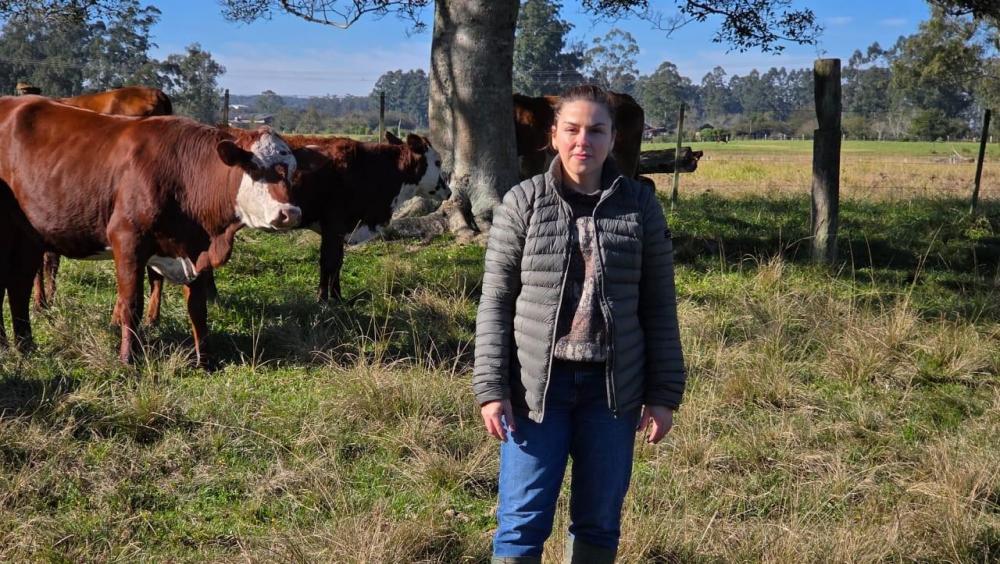 Suplementação ajuda a evitar perdas por clima na pecuária
