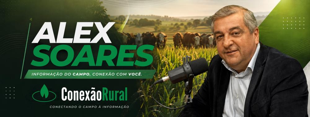A decisão de proibir jogos é agonia pura