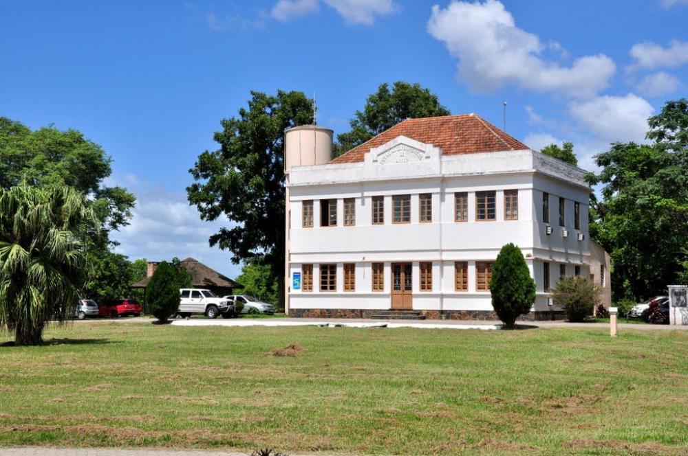 As opções de Leite para o Instituto dos arrozeiros
