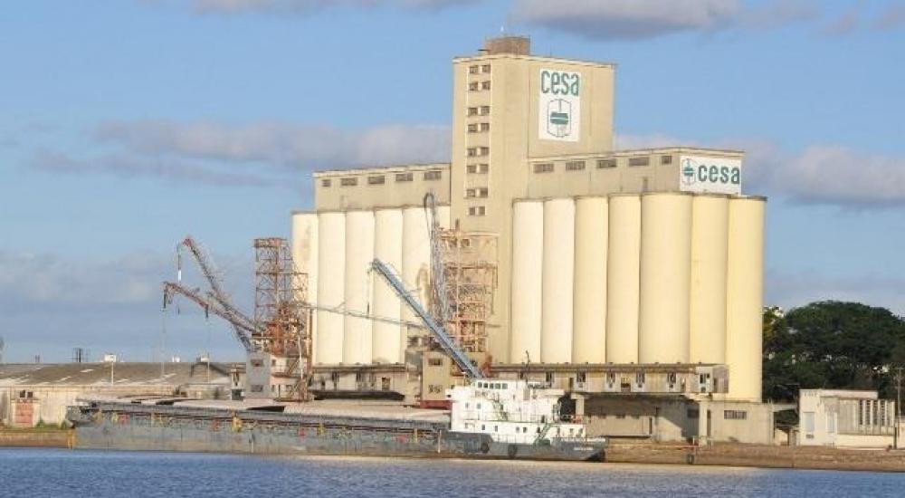 Cesa: privatizar, federalizar, sucatear ou extinguir?