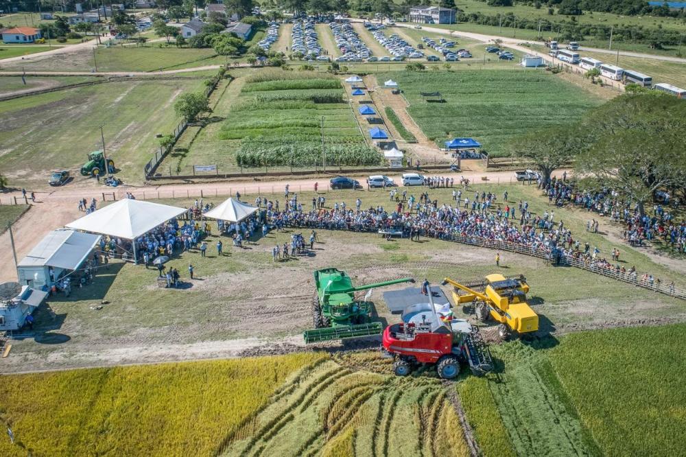 Multimídia: a 29ª Abertura da Colheita em videos, áudios e texto