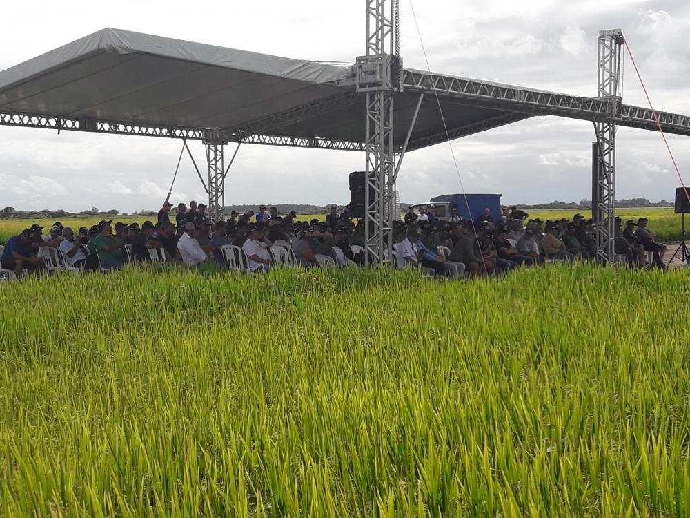 As ferramentas para altos rendimentos no Dia de Campo Rancho King - Fortral-New Holland