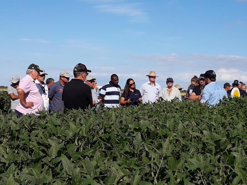 Terra Dura apresenta resultados das novas variedades em Dia de Campo