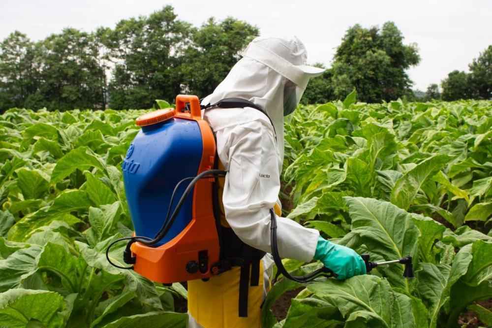 Por que reduzir o imposto do cigarro?