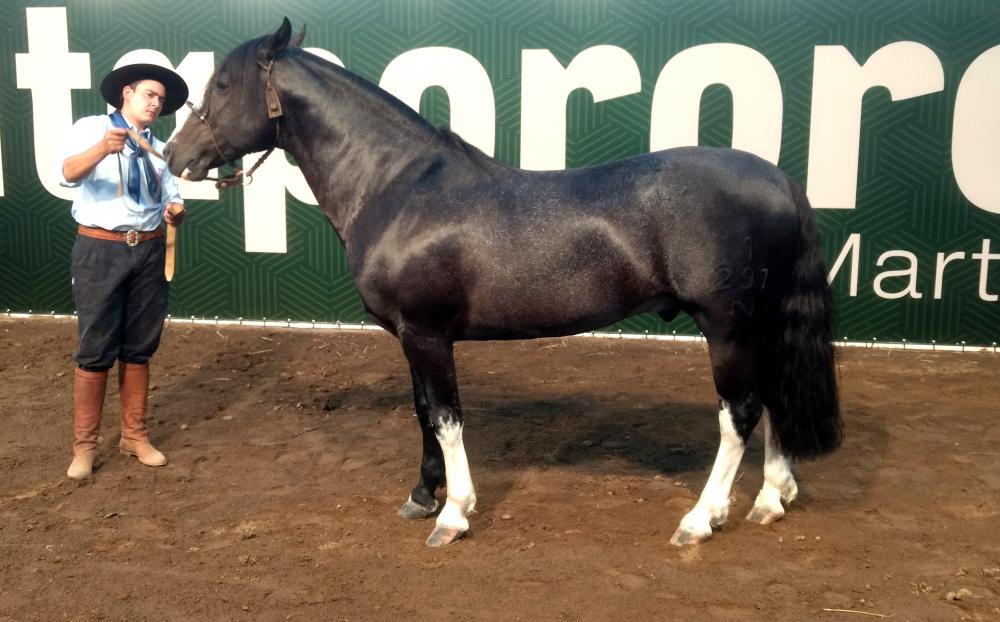 R$ 1 milhão por hora no leilão da Itapororó