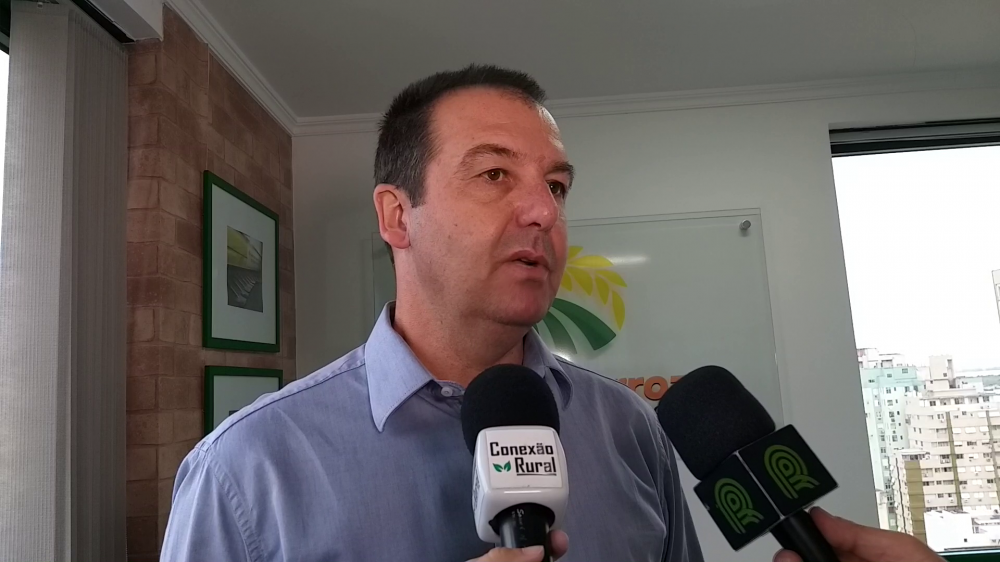 Mais consumo interno e exportações crescentes deverão valorizar o arroz em 2020