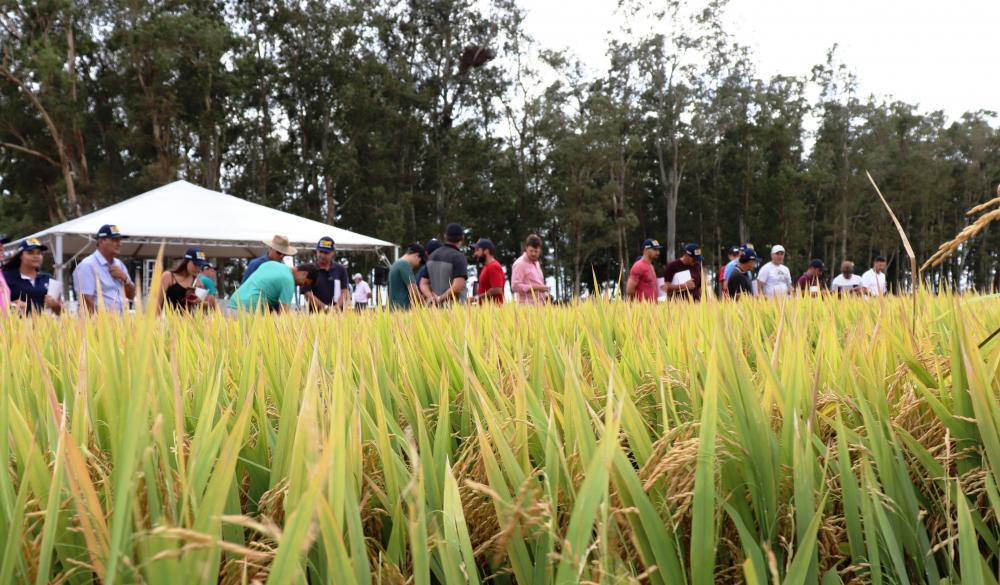 Rancho King e Fortral reúnem mais de 300 convidados num dinâmico Dia de Campo