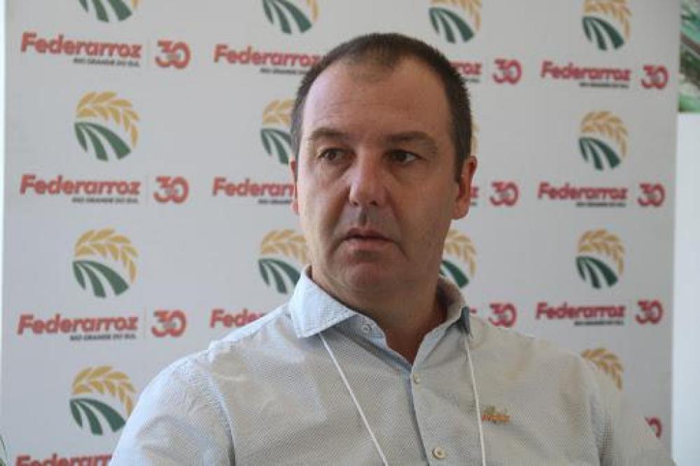 Leia e ouça - Colheita do arroz chega à metade e segue normal no RS