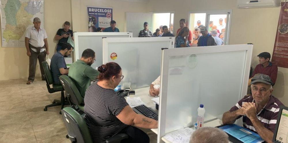 Exclusivo: Fiscais apelam para interrupção da vacina contra a aftosa