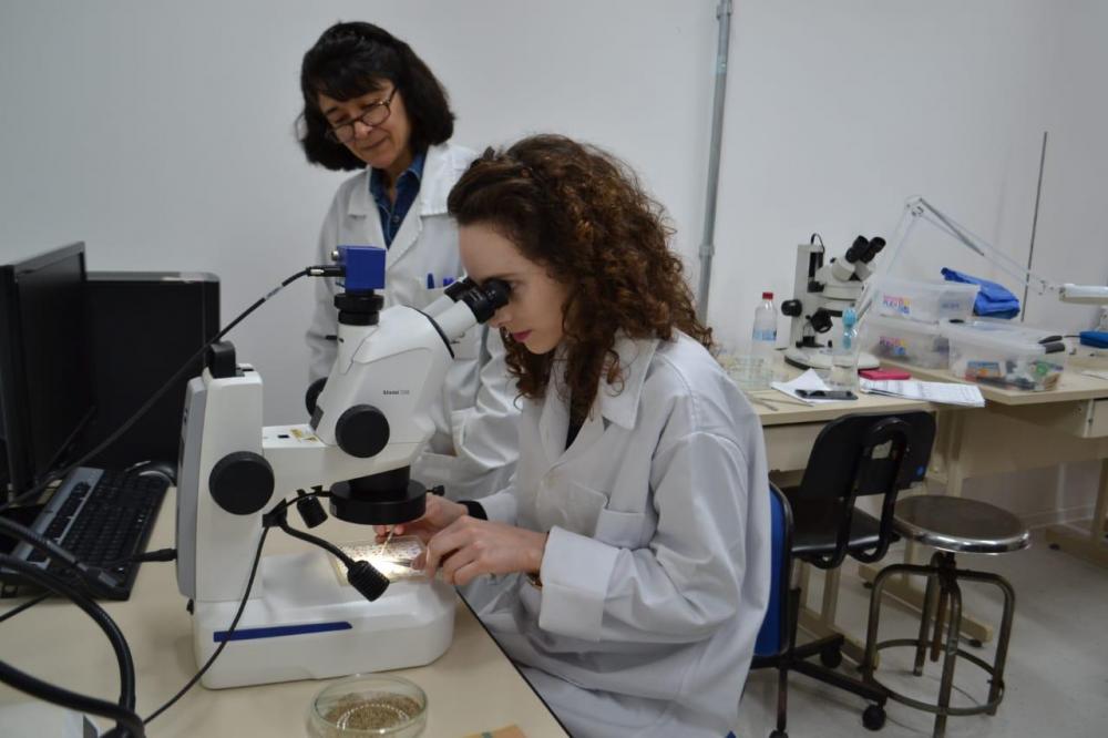 Trabalho de auditores fiscais federais agropecuários é intenso durante pandemia