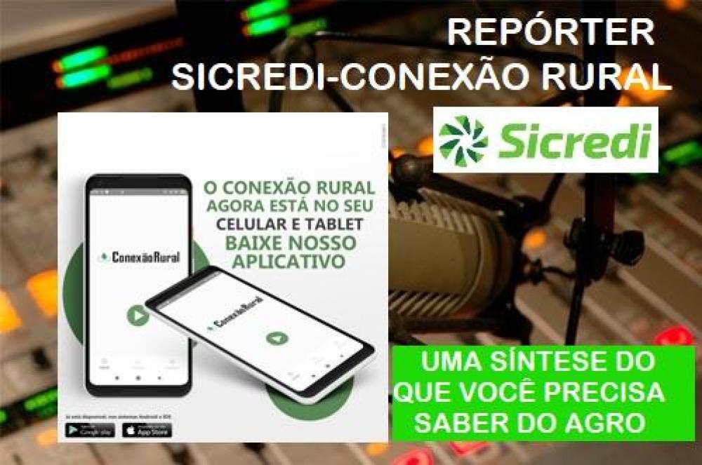 Repórter Sicredi-Conexão Rural  - Leia os destaques e ouça a edição deste sábado, 11 de abril de 2020