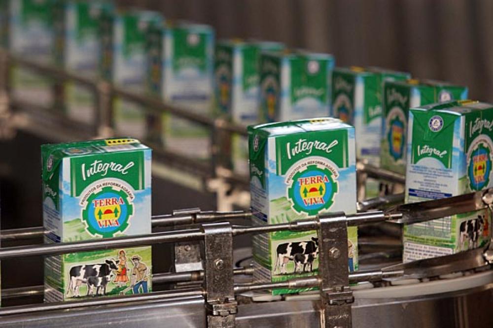 ARROZ E LEITE: OS INIMIGOS SÃO DOMÉSTICOS