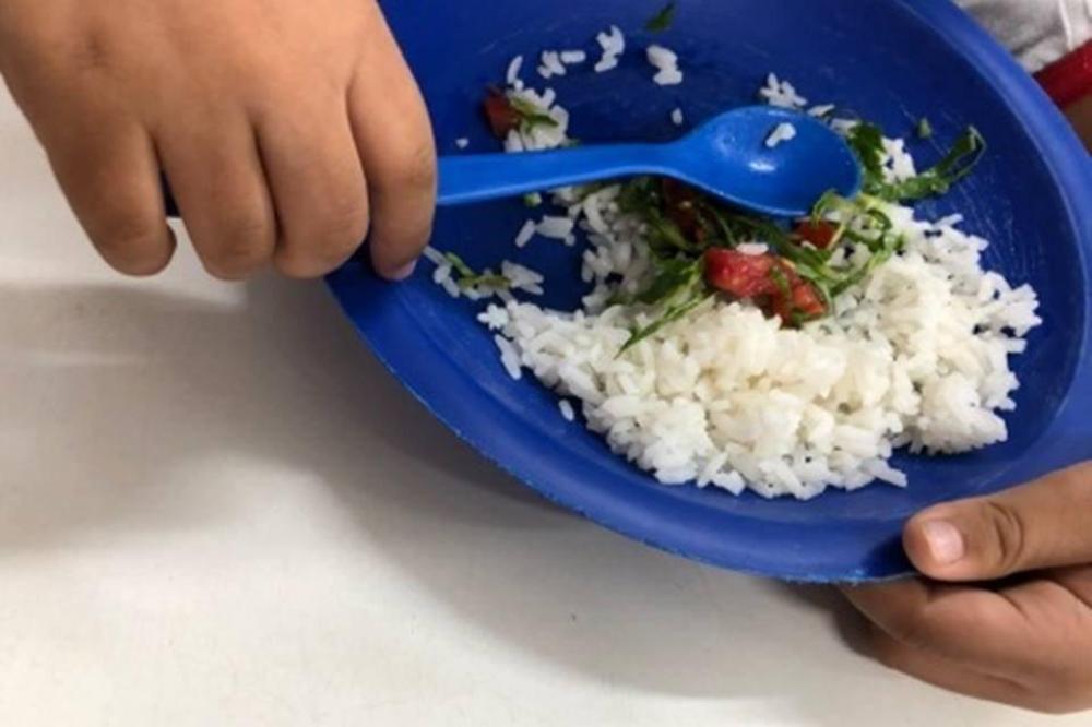 Leia e Ouça o Repórter Sicredi/Conexão Rural, edição desta quinta-feira, 11/06/2020