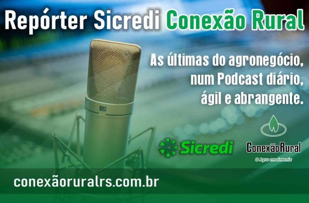 Repórter Sicredi-Conexão Rural, segunda-feira, 22/06/2020