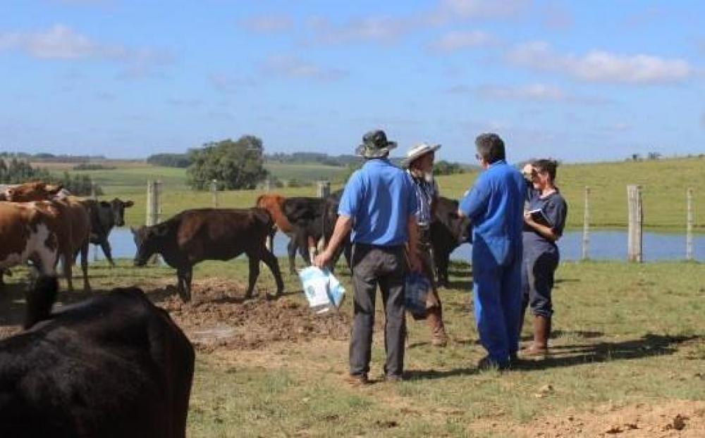 Que tal uma chacoalhada na Emater?