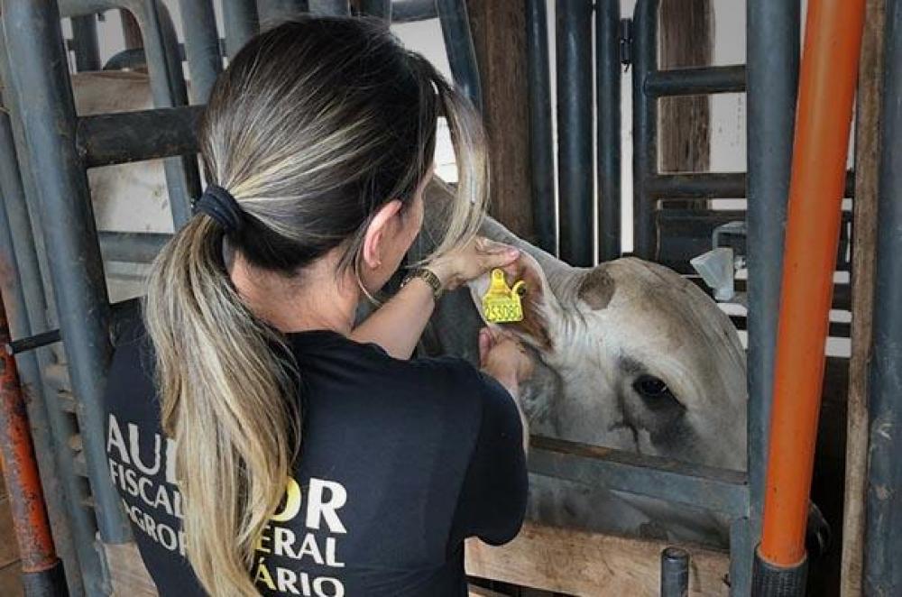 Anffa-RS destaca contribuição dos médicos veterinários no seu dia