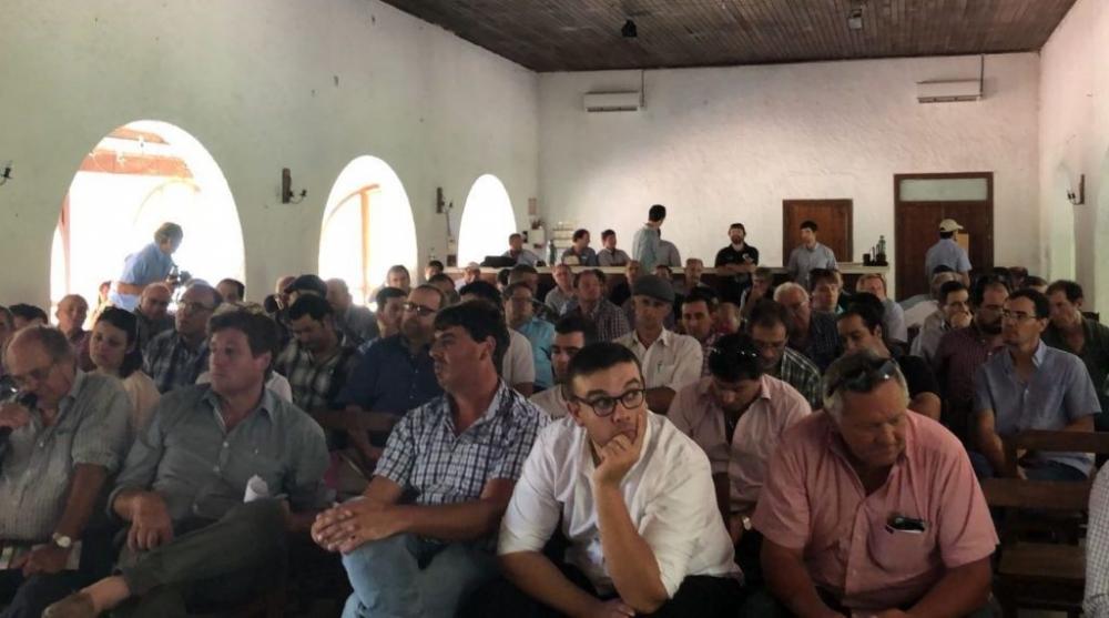 Veja quanto os produtores recebem pela soja, arroz e boi no Uruguai