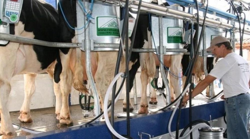 LEITE: ENTIDADES GAÚCHAS SOLICITAM MEDIDAS AO MAPA