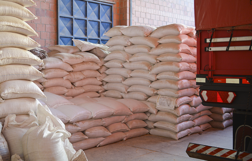 Arroz lidera lista do descenso de 2017  