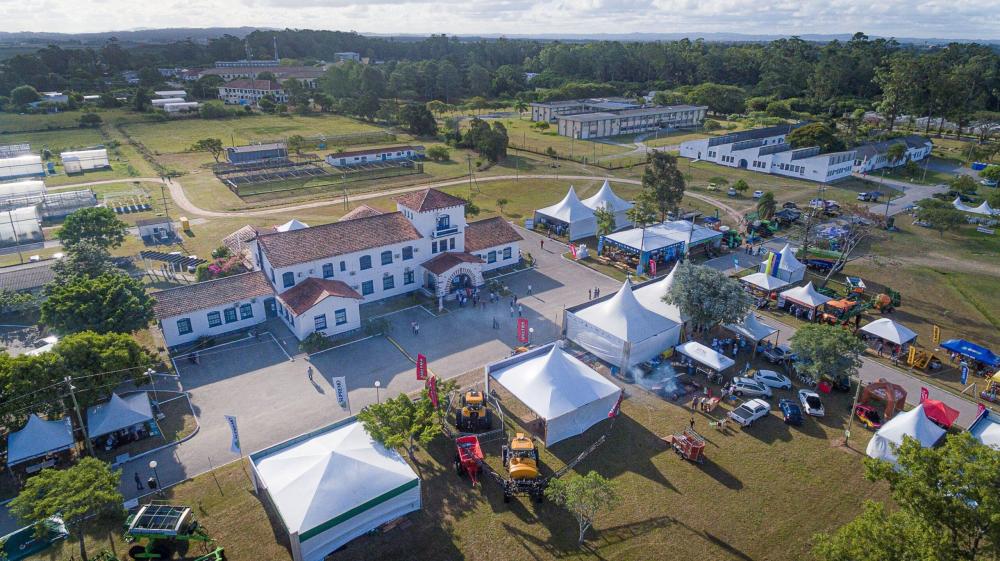 Abertura da Colheita do Arroz: prefeitos da Zona Sul aprovam protocolos