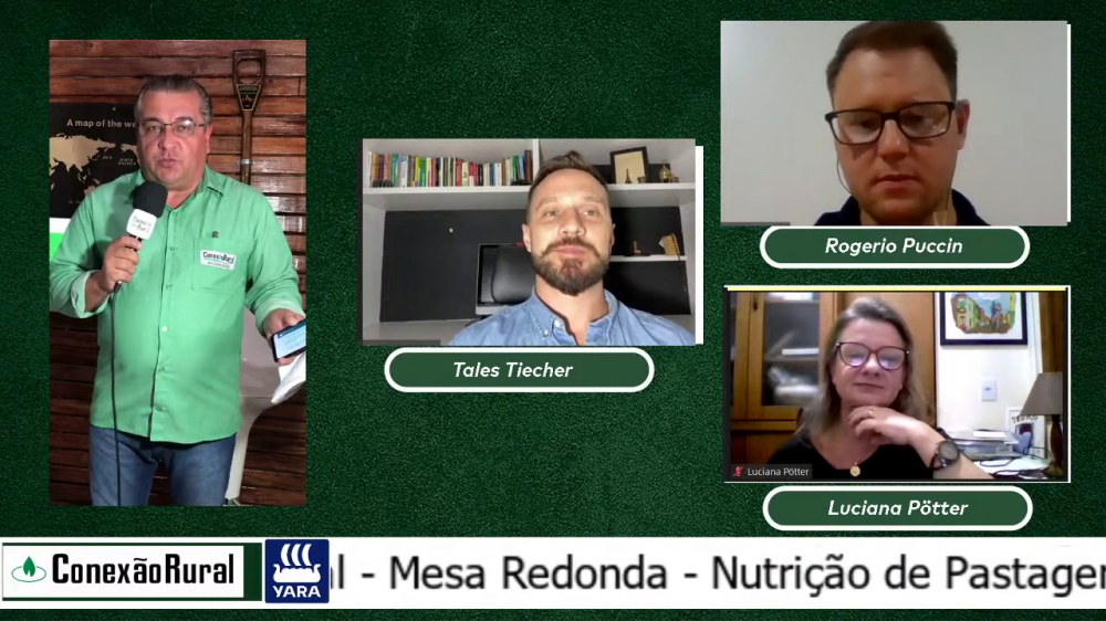 Pasto nutrido e com métodos -  garantia de maior renda. Confira como foi a Mesa Redonda sobre forrageiras