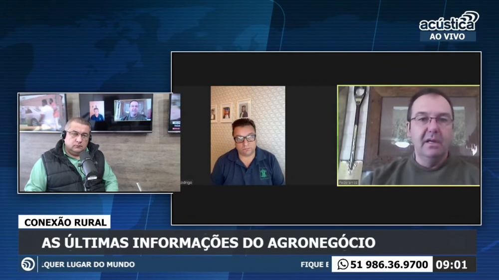 Safra cheia e preços justos do arroz– o que motivou o equilíbrio da gangorra?