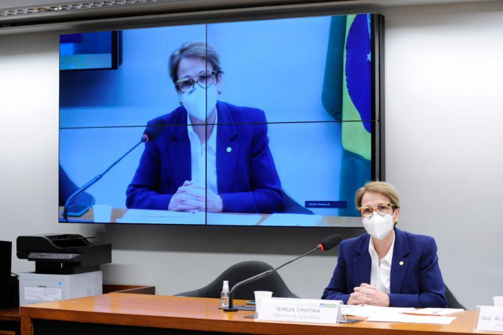 Ministra da Agricultura pede a deputados agilização na tramitação de matérias
