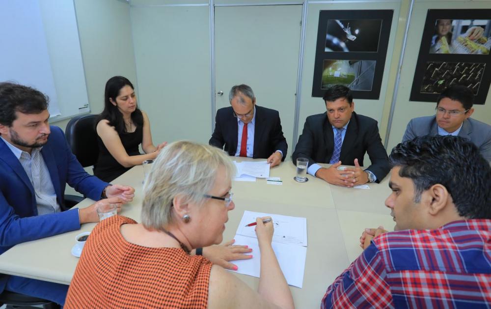 Indústria de arroz: um negócio em constante expansão