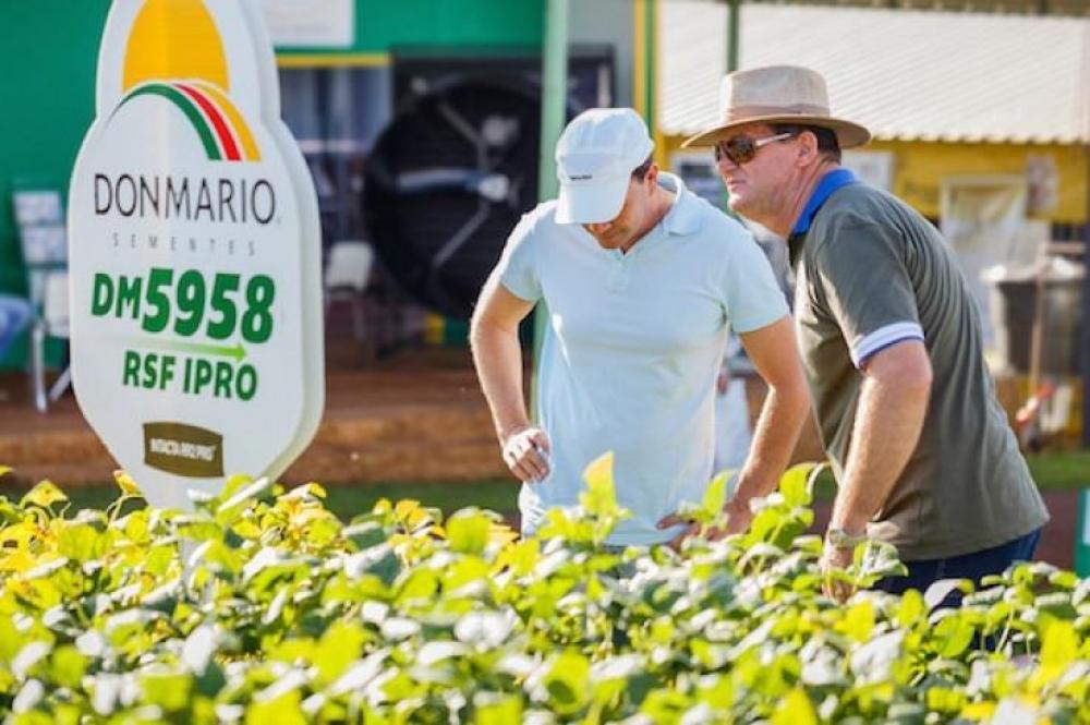 Soja: confira os desempenhos do ECR 2020-21 promovido pela Farsul e Fundação Pró-Sementes