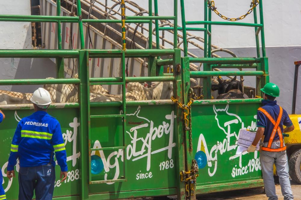 COMBINAÇÃO PERFEITA DO ATRASO 