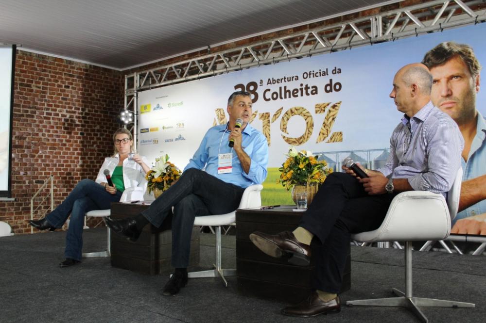 Arroz: sinais para um ano de melhores preços