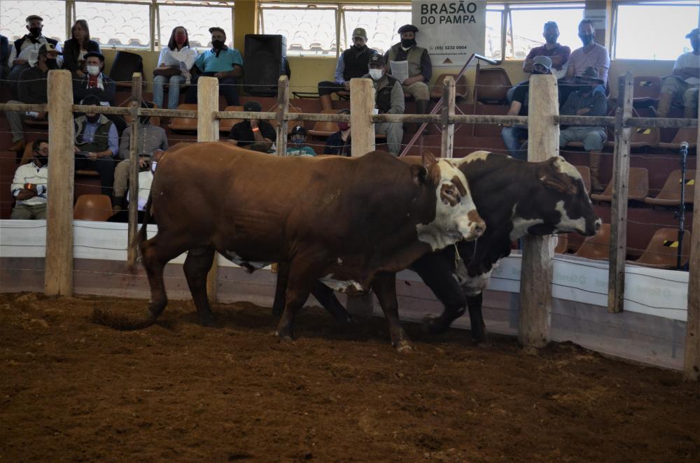 Multimídia: o 22º Remate da Santa Tereza em texto, fotos e vídeo