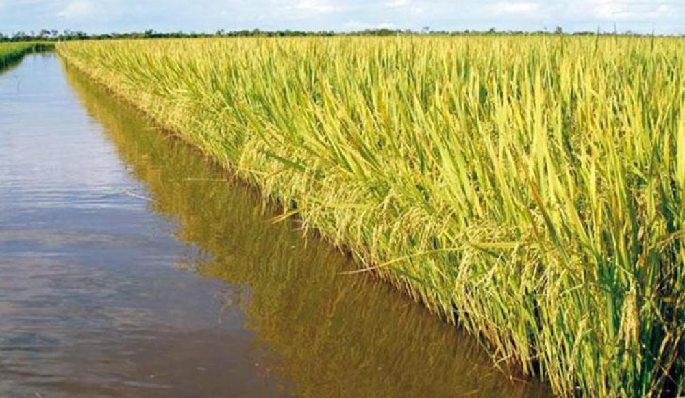 Projeto de barramento do Arroio Sutil tem recursos liberados para estudos