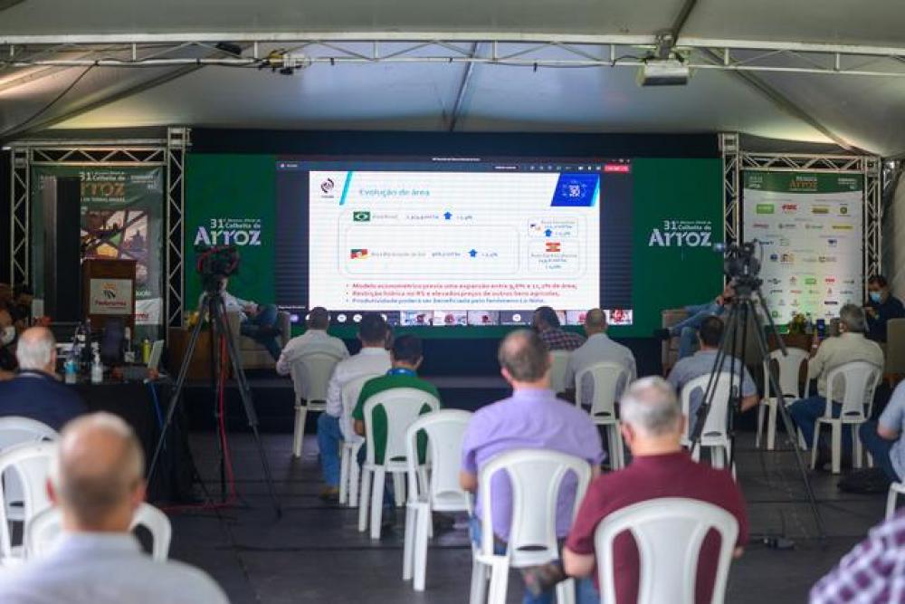 Custo da produção arrozeira terá painel na 32ª Abertura da Colheita