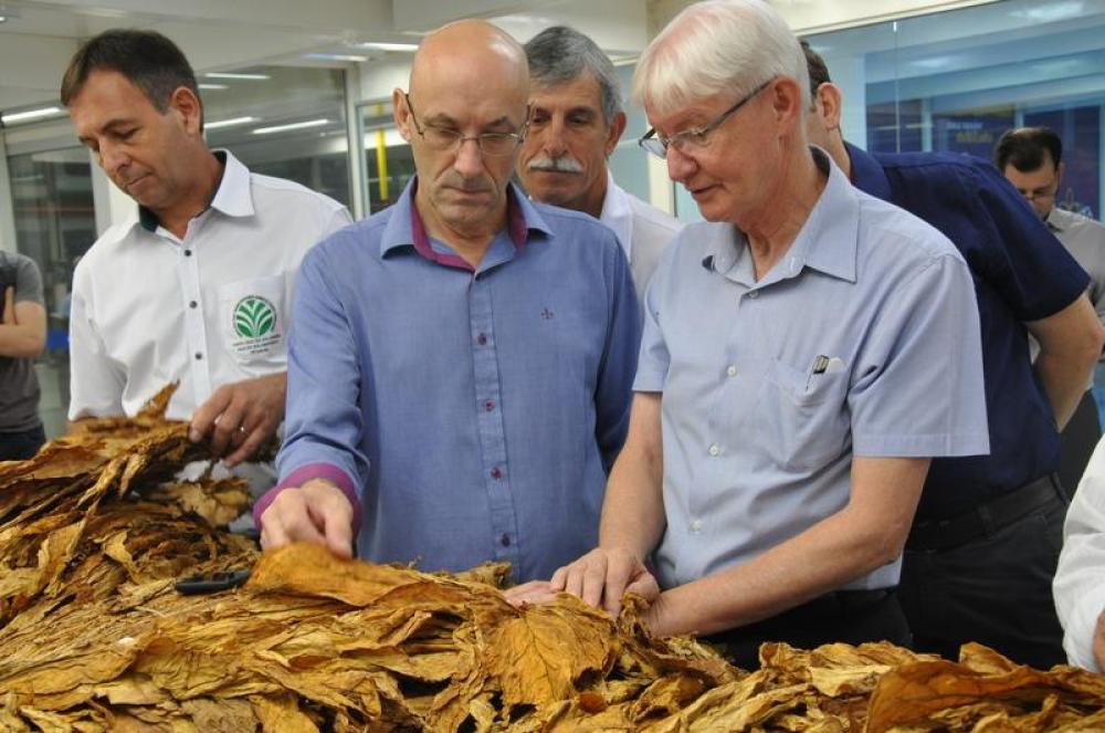 Tabaco: JTI e produtores acertam reajuste. Seguem as negociações com as demais