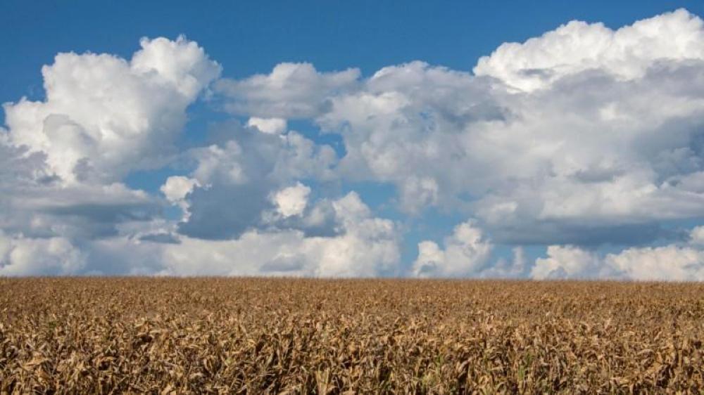 Estiagem: mais de 81 mil acionamentos ao seguro rural