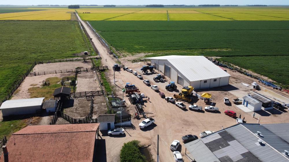 Manejo, experimentos e mercado - saiba o que a Fazenda Palma vai oferecer no seu Dia de Campo 2022