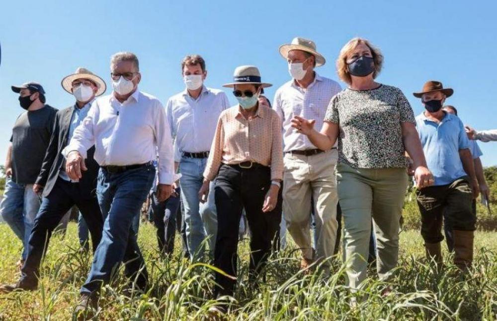 Governo regulamenta desconto de 35,2% nos financiamentos para produtores rurais atingidos pela seca