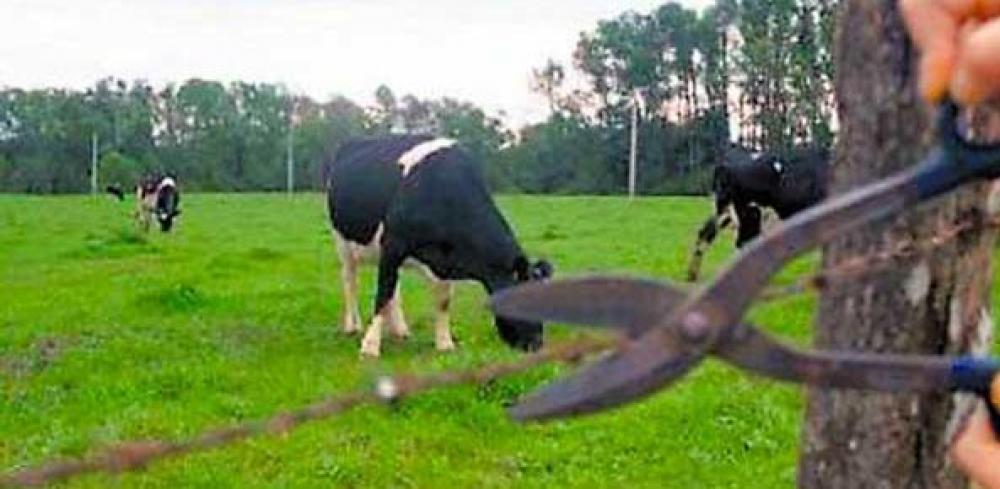 Crimes Rurais, o despertar das quadrilhas