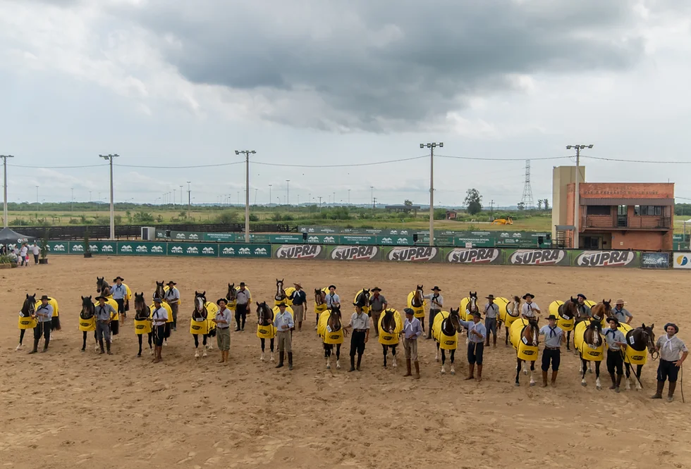 Brasileiros concorrem em todas as modalidades da Expo FICCC 2023
