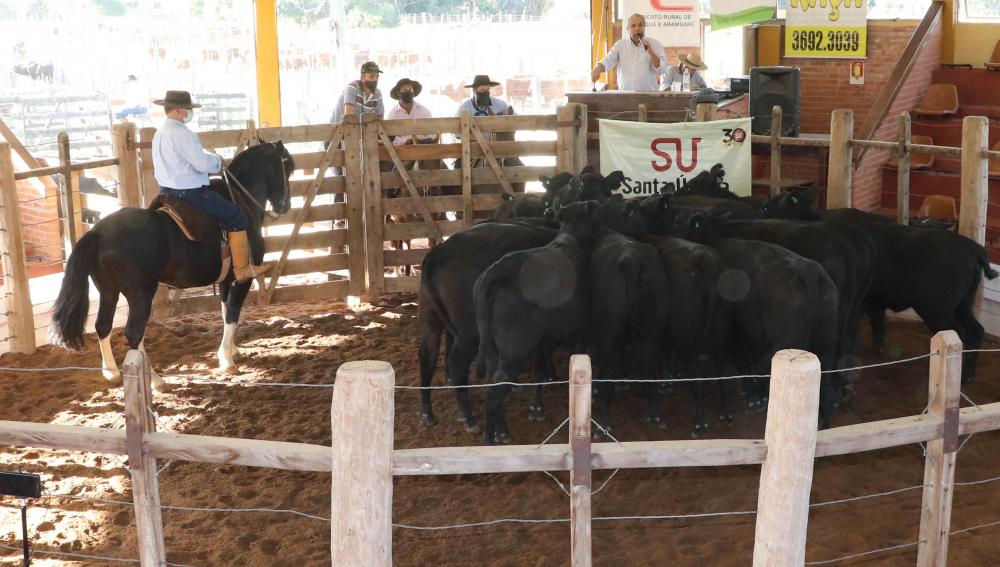 SRC e Santa Úrsula fazem remate neste sábado em Camaquã