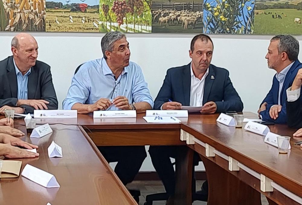 Arrozeiros apresentam demandas para o novo secretário de Política Agrícola do Mapa